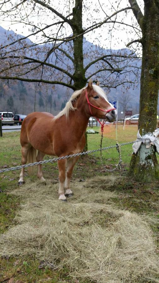 Ospitalita Rurale Familiare Land Wasser Bed & Breakfast Varallo Dış mekan fotoğraf